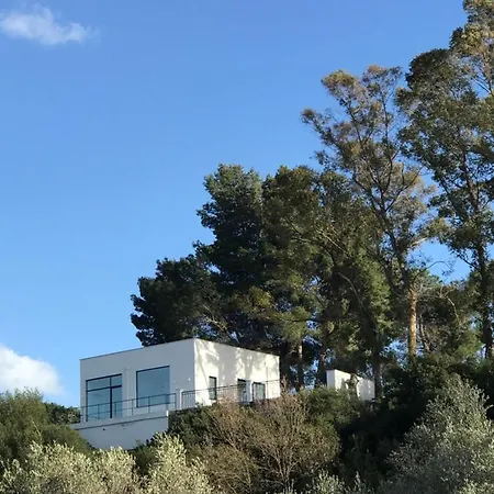 Villa Anna, Flora